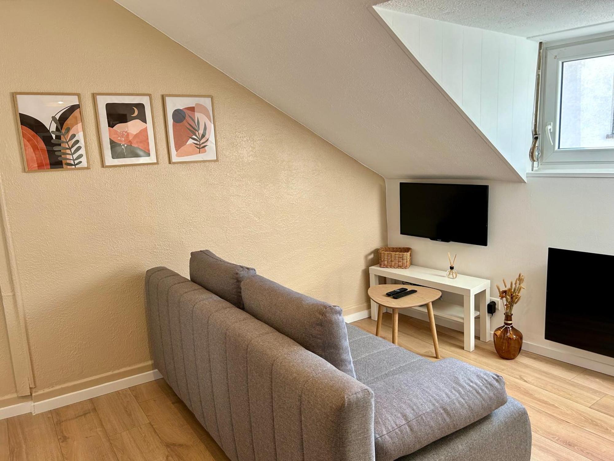 Douce Agathe - Duo-Groupe, Chaleureux, Tram 200M, Centre 10Min Apartment Strasbourg Exterior foto