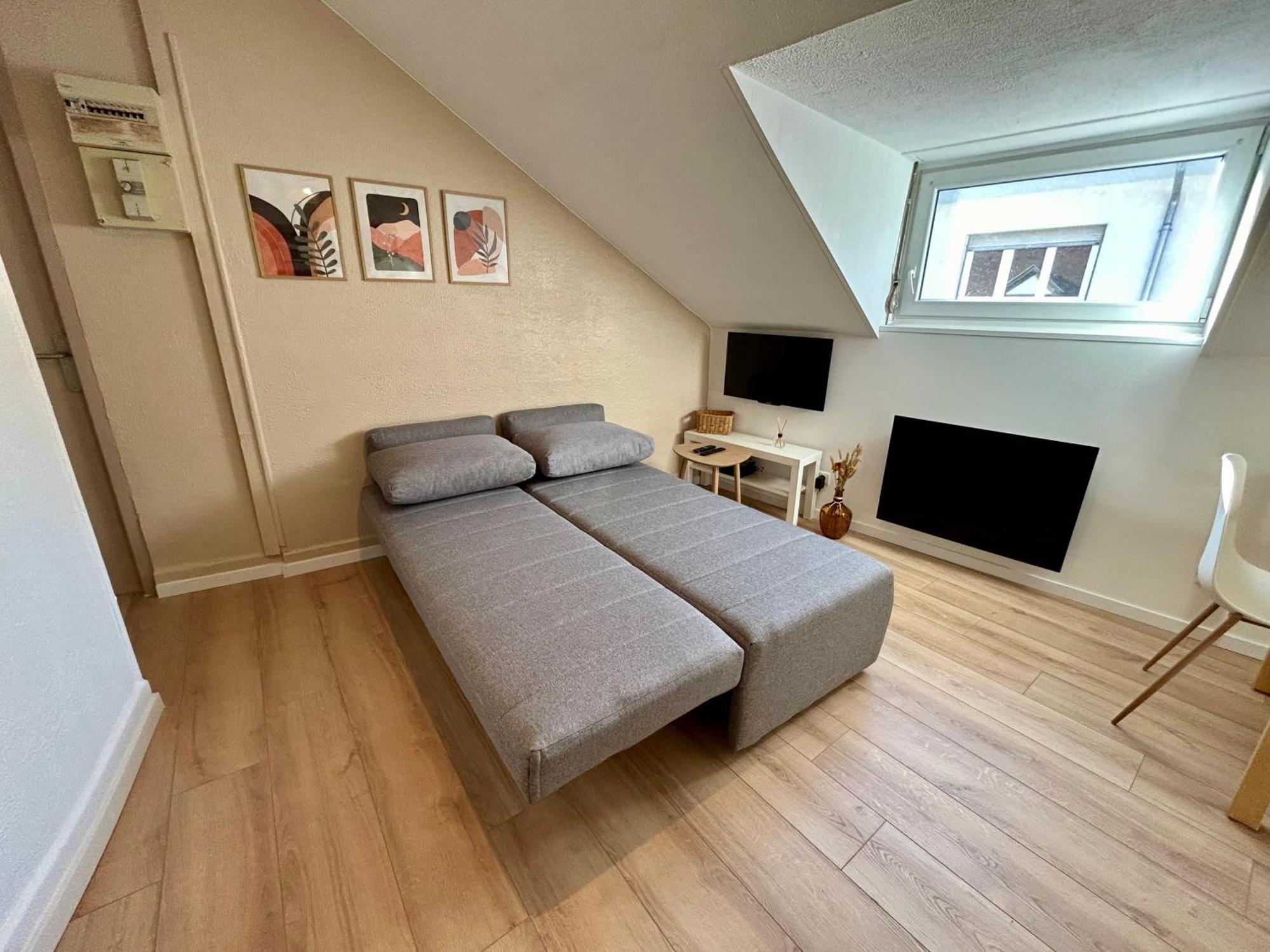 Douce Agathe - Duo-Groupe, Chaleureux, Tram 200M, Centre 10Min Apartment Strasbourg Exterior foto