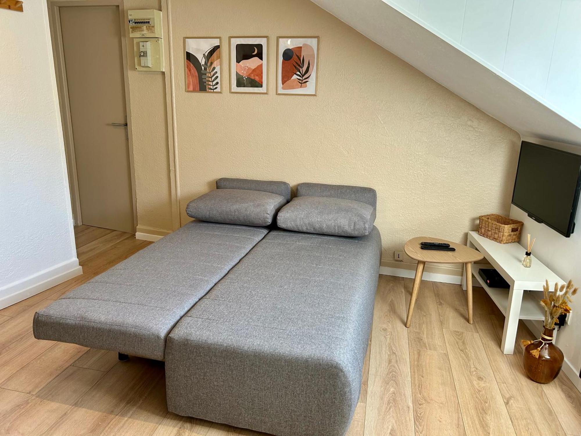 Douce Agathe - Duo-Groupe, Chaleureux, Tram 200M, Centre 10Min Apartment Strasbourg Exterior foto